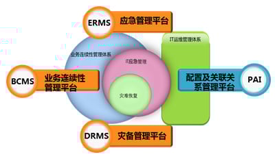 探寻啤酒加盟的门槛与时机