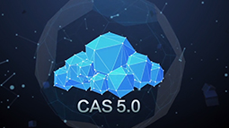 H3C CAS5.0